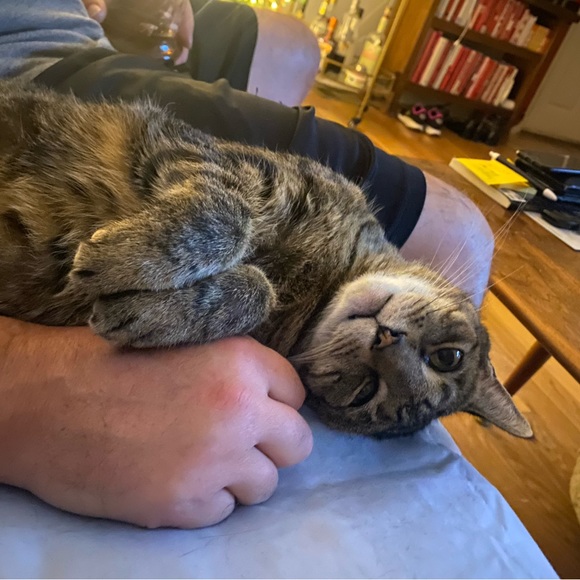 Meet your Posher, Ann-marie - Picture 3 of 7